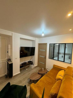 Appartement moderne au centre-ville